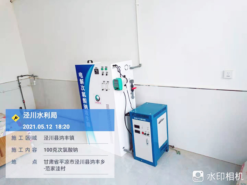 甘肅省平涼市涇川縣水利局100克次氯酸鈉發生器